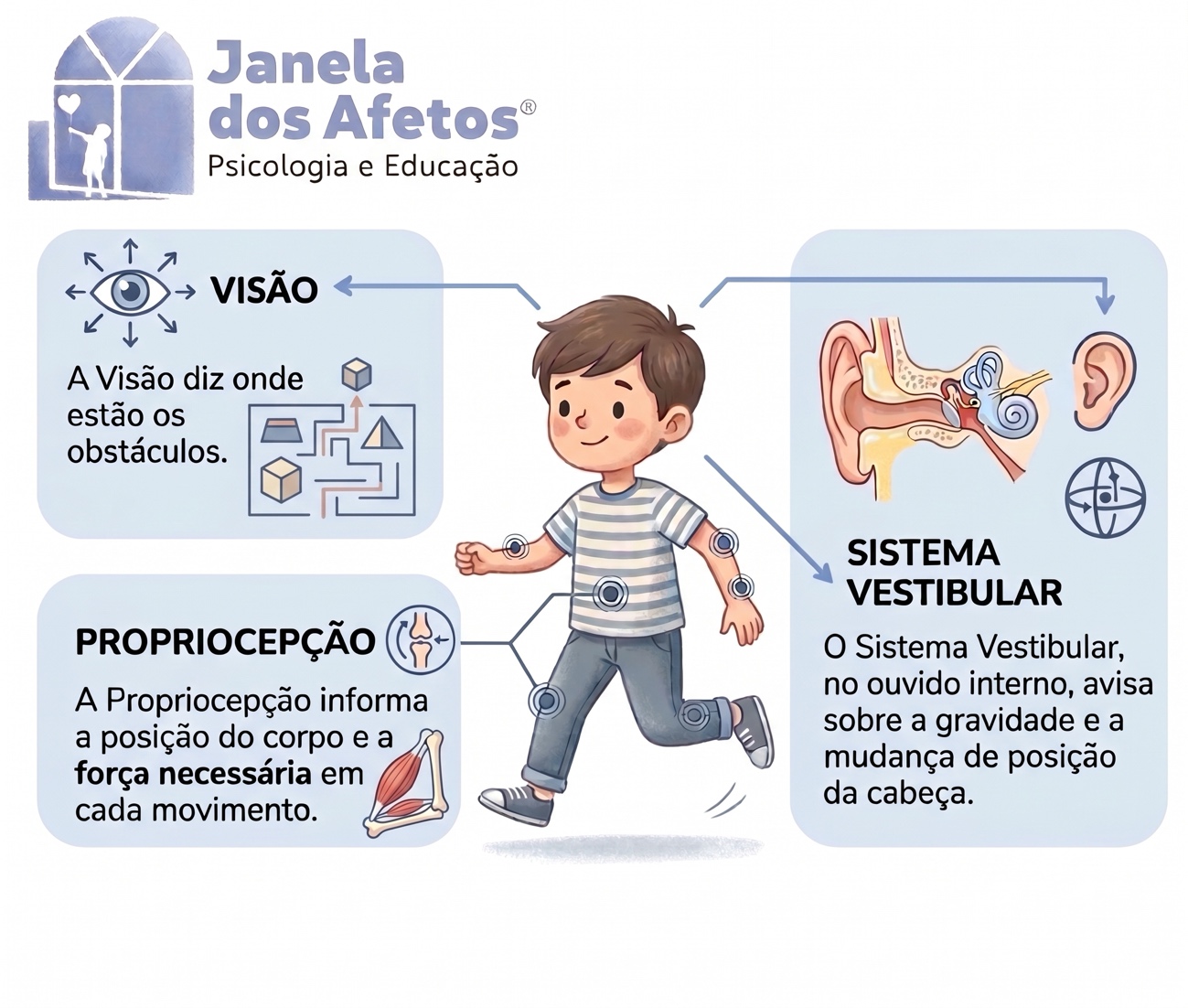 A visão, a propriocepção e o sistema vestibular trabalham em conjunto para manter o equilíbrio